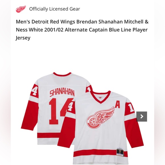 Detroit Red Wings Brendan Shanahan Mitchell & Ness 2001/02 Alternate Captain XL